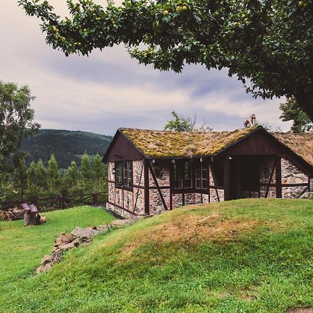 Willa Z Gwarantowanym Widokiem Na Gory Aleksander Panorama Świeradów-Zdrój Exterior foto