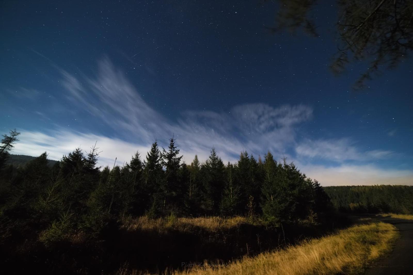 Willa Z Gwarantowanym Widokiem Na Gory Aleksander Panorama Świeradów-Zdrój Exterior foto