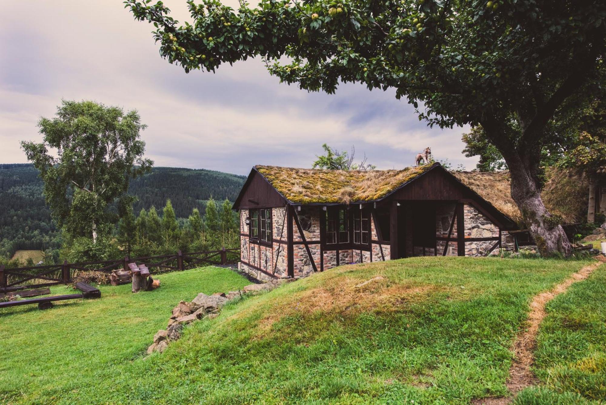 Willa Z Gwarantowanym Widokiem Na Gory Aleksander Panorama Świeradów-Zdrój Exterior foto