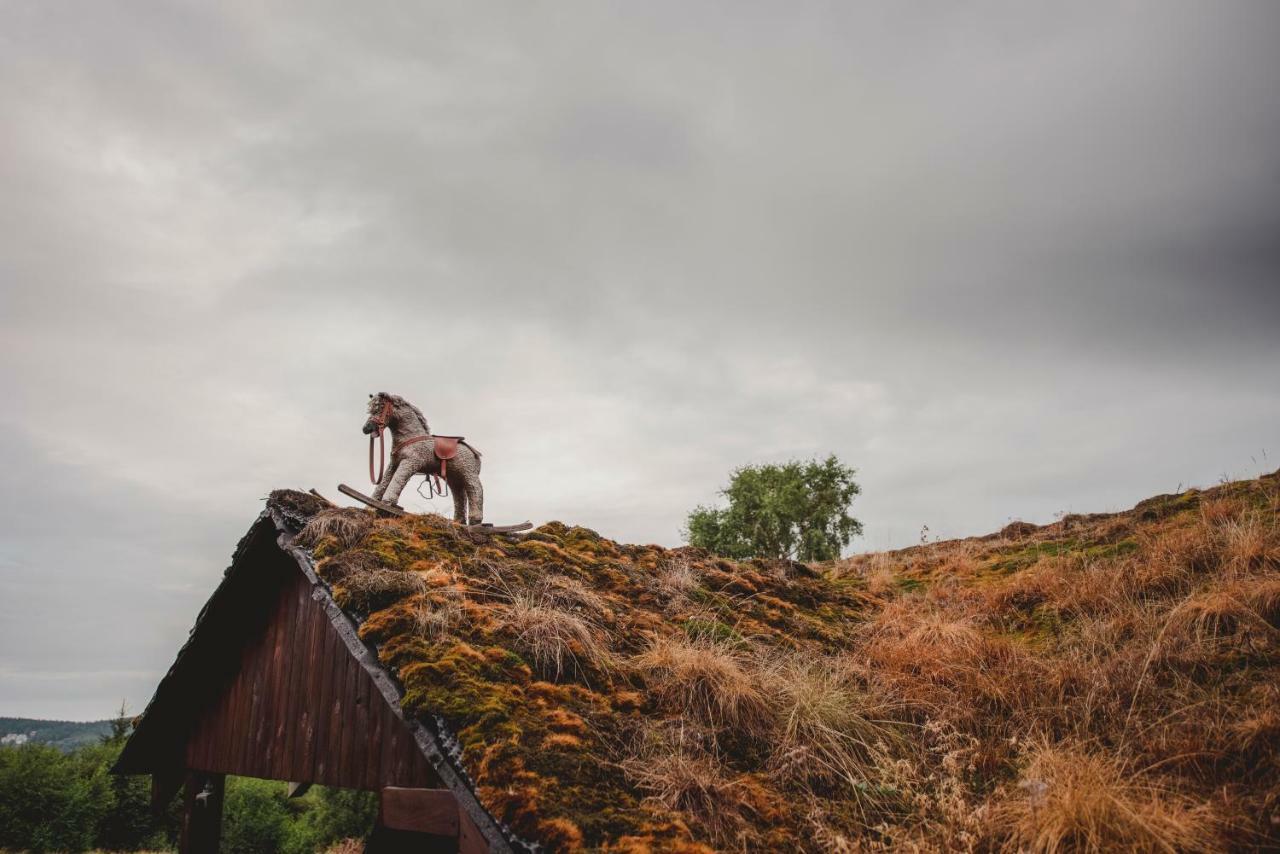 Willa Z Gwarantowanym Widokiem Na Gory Aleksander Panorama Świeradów-Zdrój Exterior foto